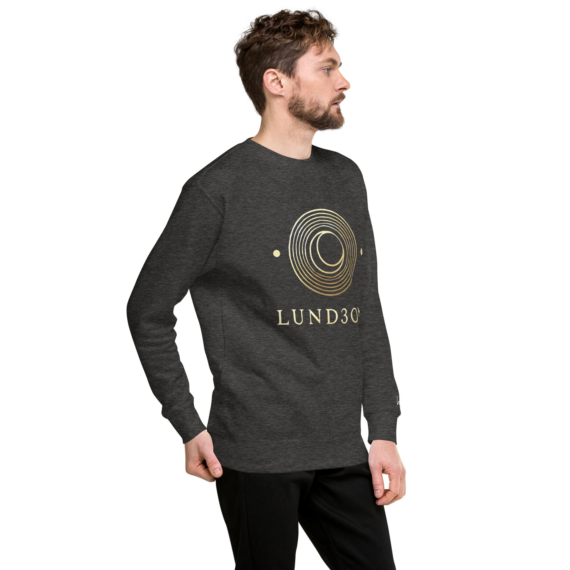 unisex-premium-sweatshirt-charcoal-heather-right-front-69106d42ce4d7.jpg