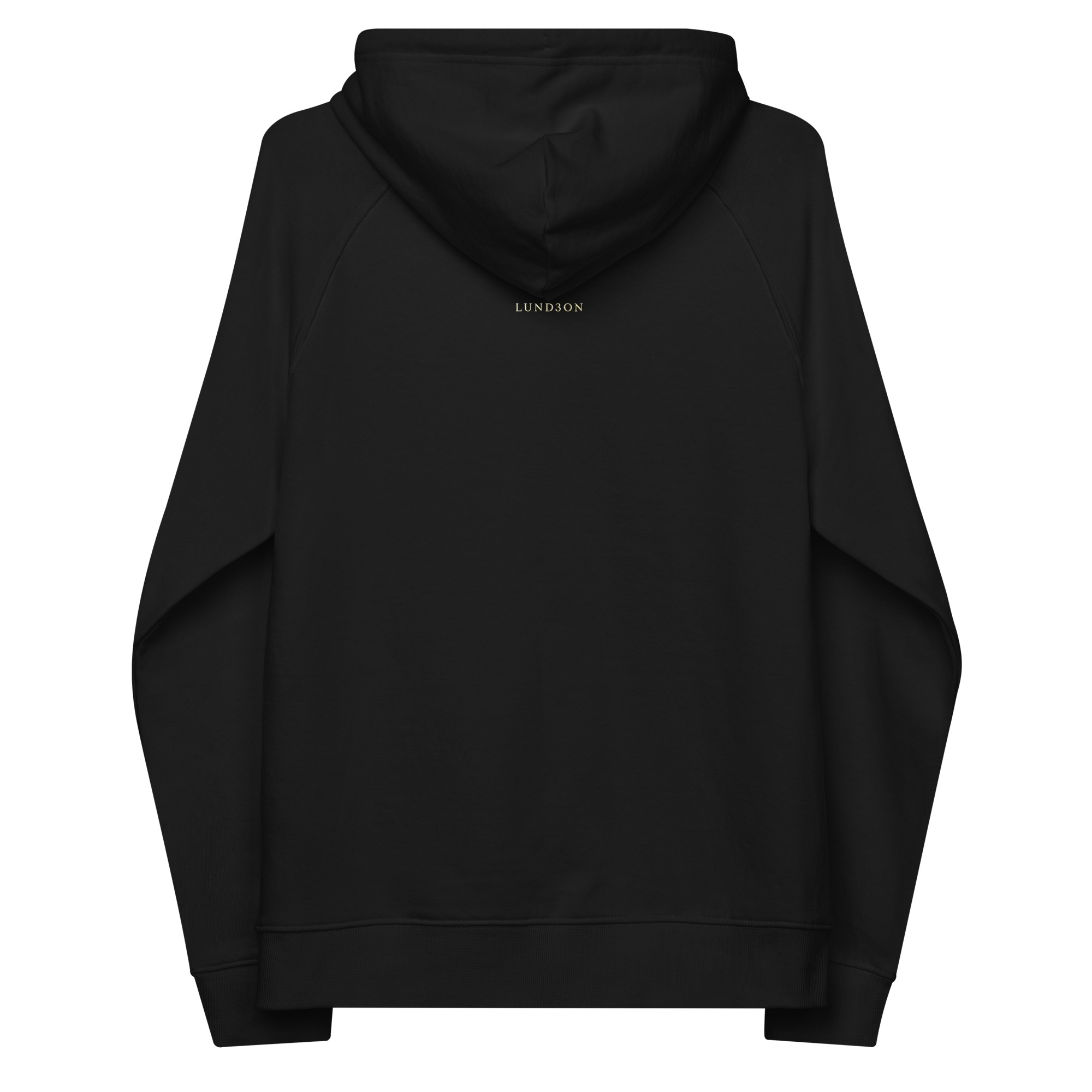unisex-eco-raglan-hoodie-black-back-69b7616f9c63a.jpg