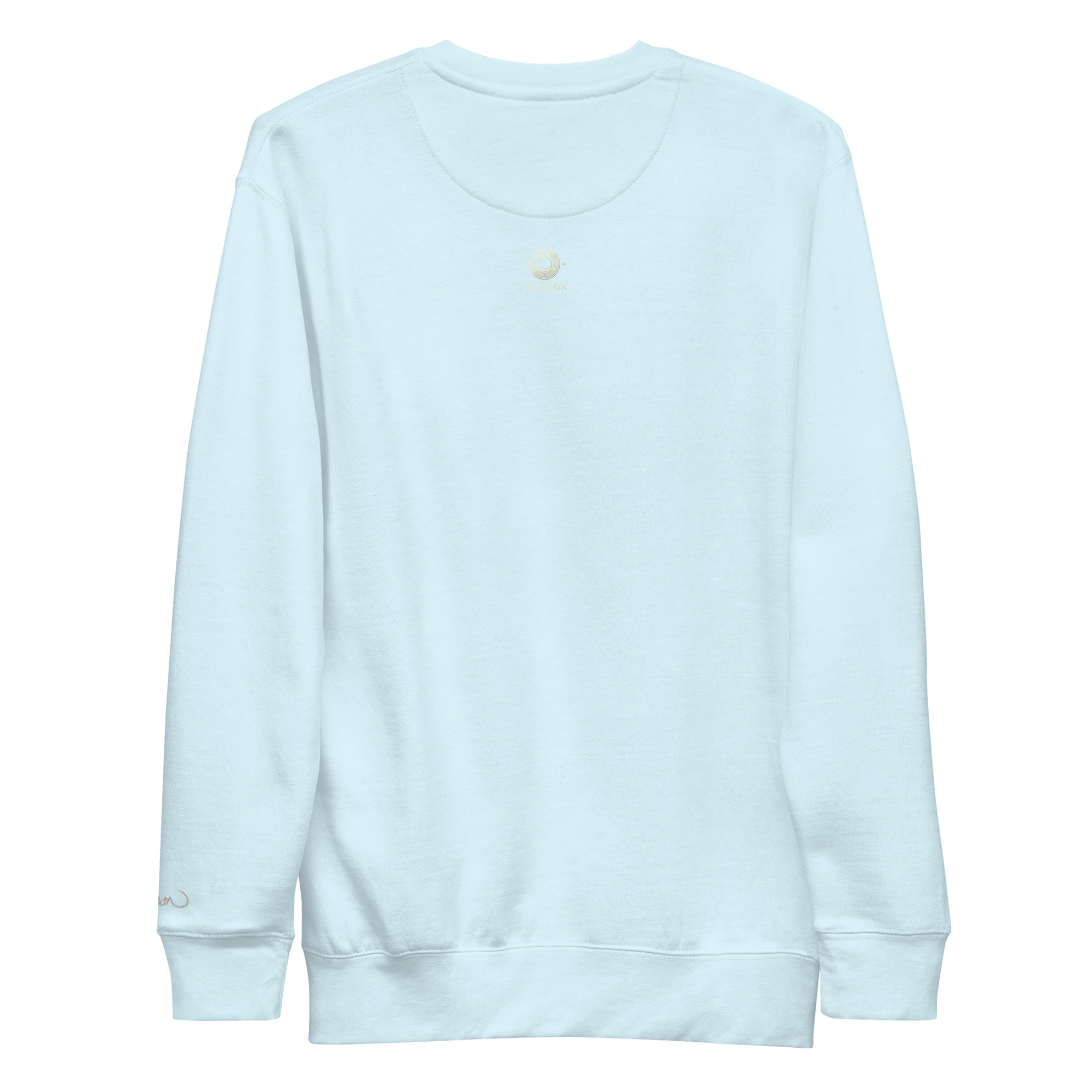 unisex-premium-sweatshirt-sky-blue-back-69b75c7a61ced.jpg
